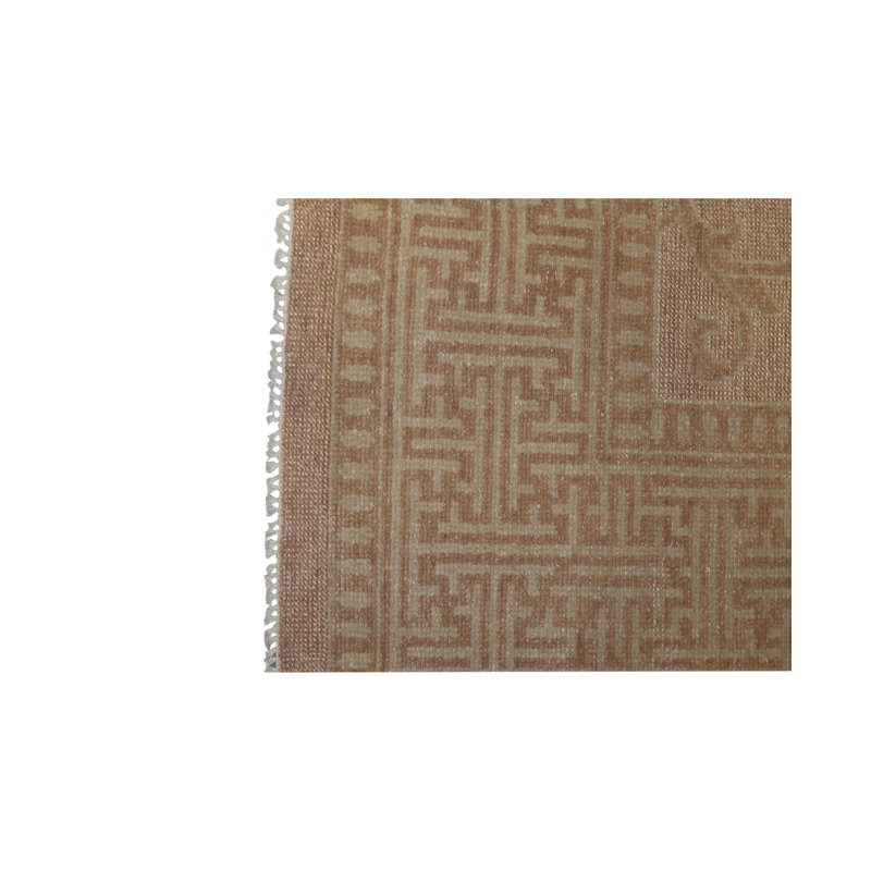 Oriental Area Rug in Orange
