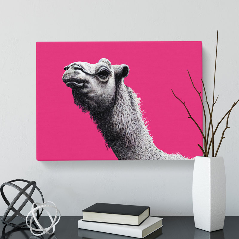 Legendary Camel - Wrapped Canvas Print, 50cm H x 76cm W x 3cm D