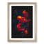Red Octopus - Picture Frame Graphic Art Print-56857404-56857408
