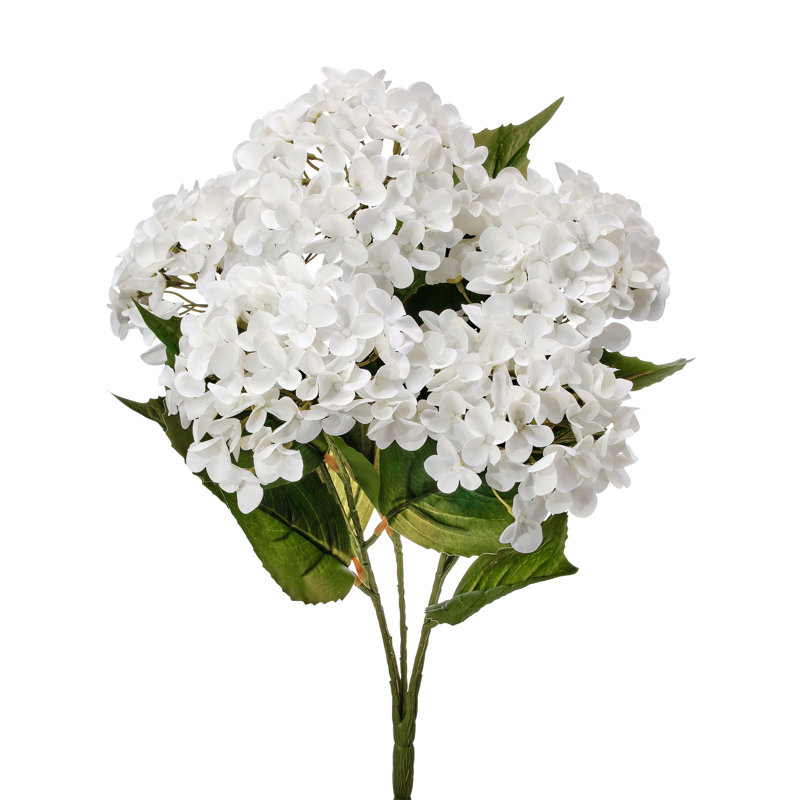 Arrangement d'hortensias, touche naturelle, Blanc