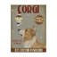 Mid-Century-33420594