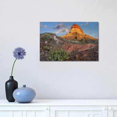 Opuntia Cactus at Cerro Castellan, Chihuahuan Desert, Big Bend National Park, Chihuahuan Desert, Texas 1 Piece Wrapped Canvas Wall Art