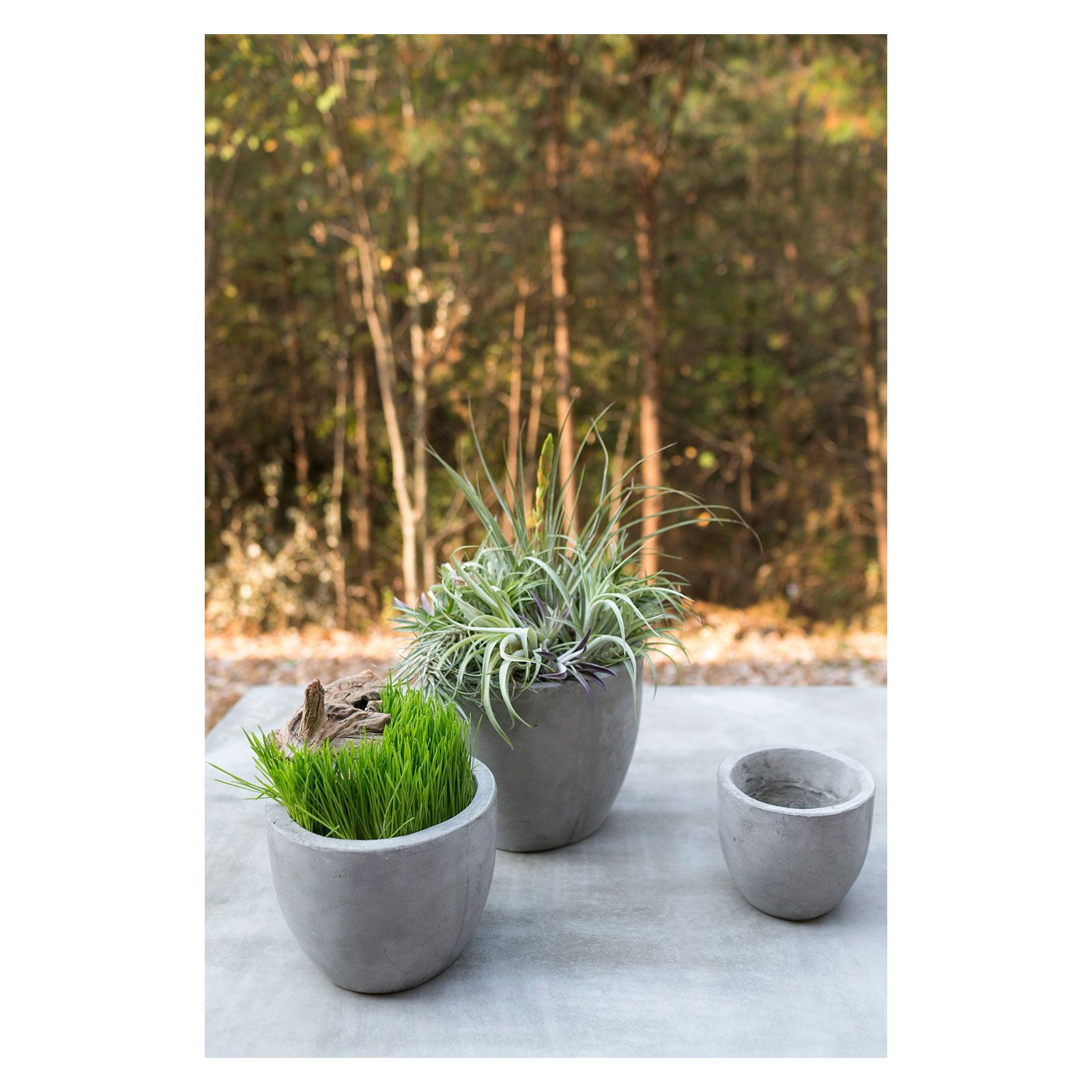 7" H x 7.8" W x 7.8" D