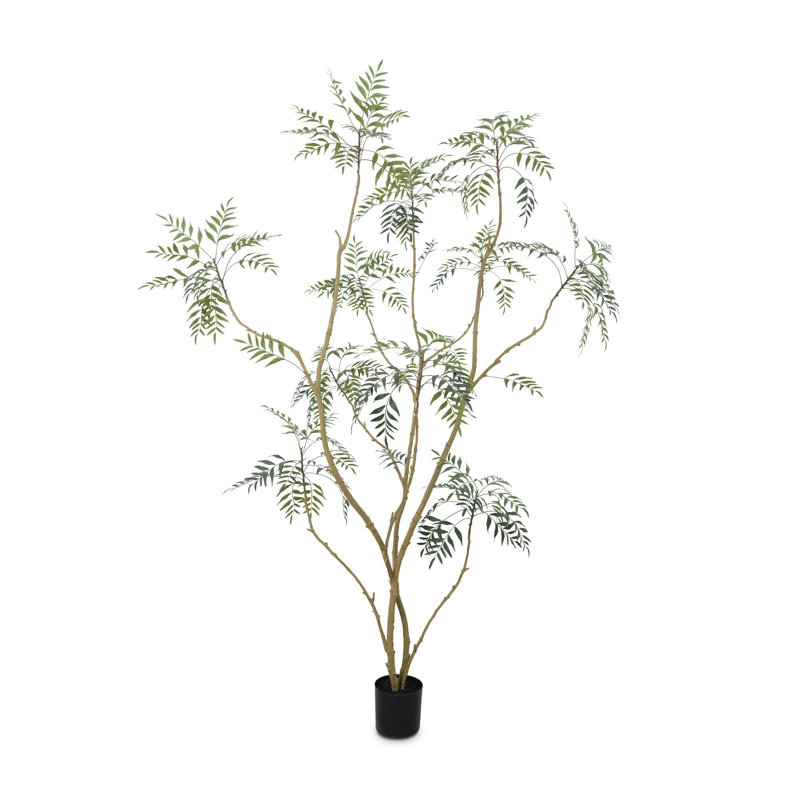 Faux neem, 8'