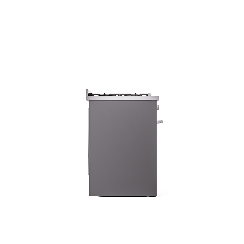  Ilve Professional Plus II 30 po à double combustible, 5 brûleurs scellés (porte pleine), Graphite Matte/Stainless Steel