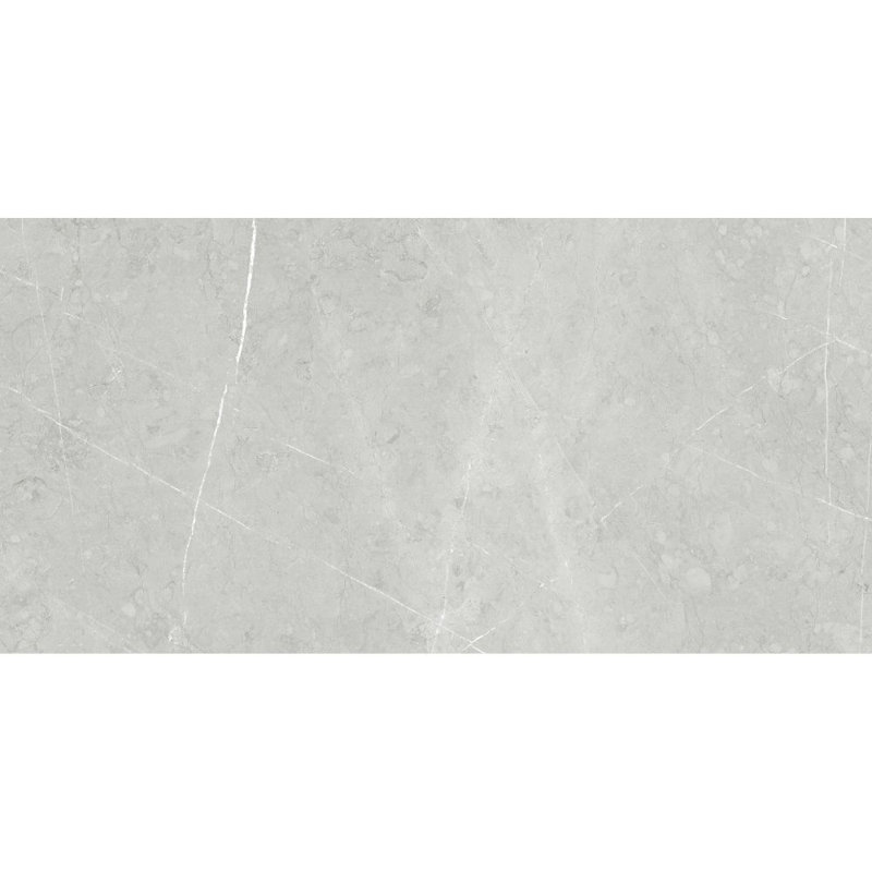 Alastair 24" x 48" Polished Porcelain Tile, Silver