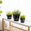 Ensemble de pots à fleurs en céramique-678271646