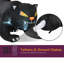 Chat gonflable géant Halloween
