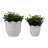 Planter Ceramic Scalloped Rim Ribbed Design Set Of 2-1052548935