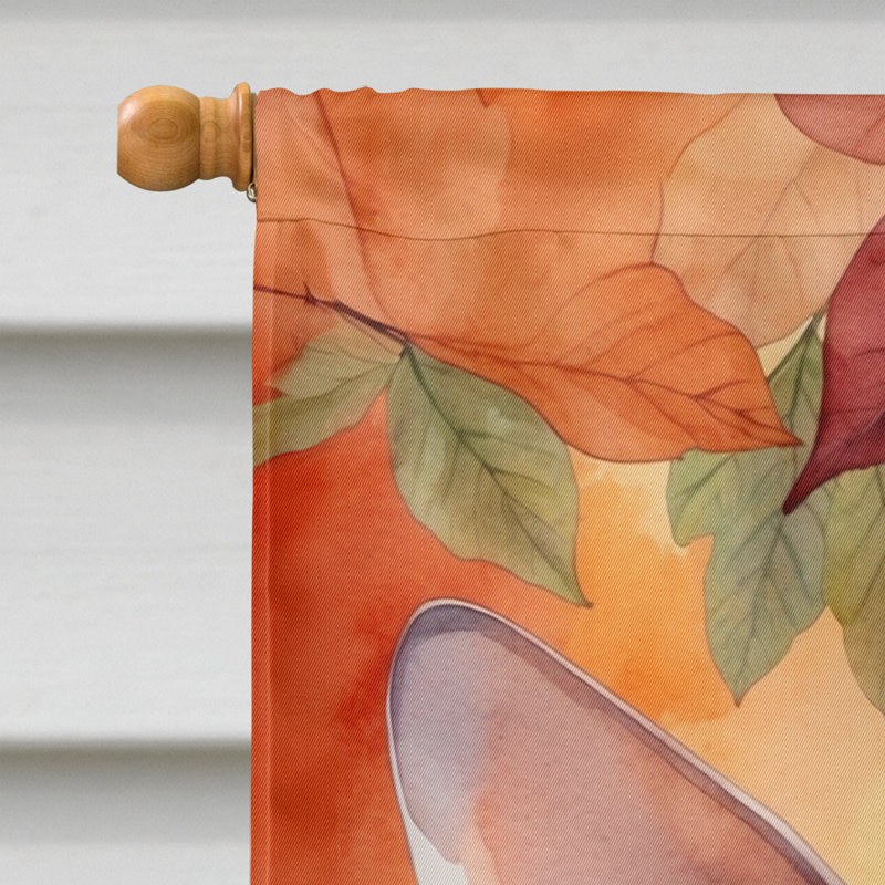 Chat en feuilles d'automne, Sphynx
