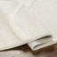 Oriental Area Rug-100947889
