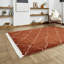 Pechler area rug Machine Woven Rust-855889984