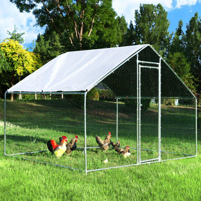 Chicken Coop