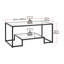 Table basse moderne à 2 niveaux en verre trempé avec structure en acier au carbone, noir