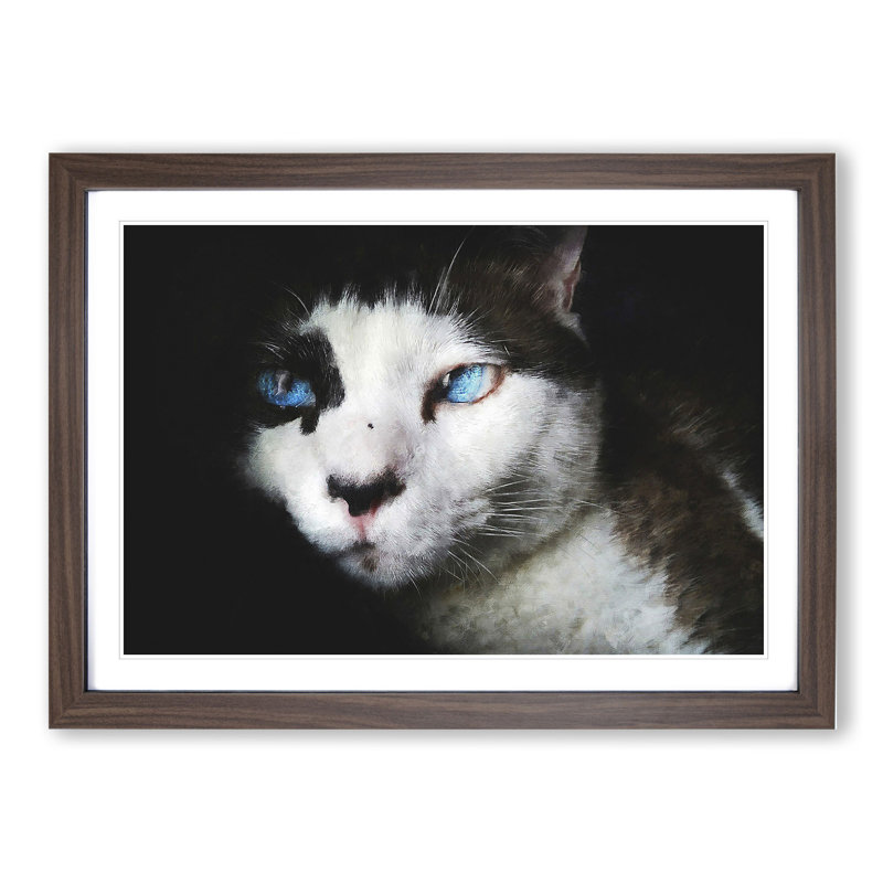 Portrait of a Cat Vol.10 - Framed Print, 27cm H x 36cm W x 2cm D, Walnut Framed