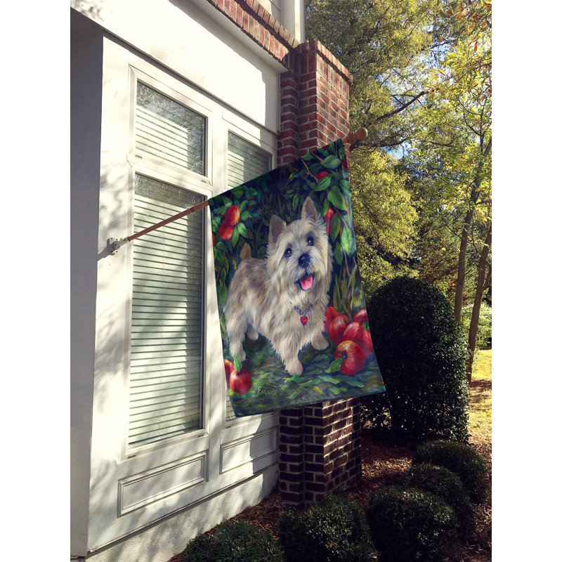 Drapeau de maison Hvidovre Sheltie Halloween en polyester à 2 faces 3 x 2 pi, Norwich Terrier bosquet de pommes