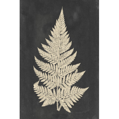 «Linen Fern I» par Vision Studio, impression sur toile