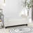 Upholstered Storage Bench End of Bed-836252-4147388