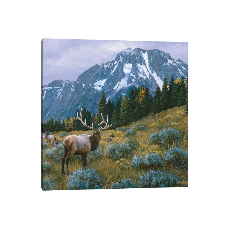 Elk XIV by Jan Martin Mcguire - Wrapped Canvas Painting, 30.48 cm H x 30.48 cm W