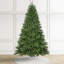 Sapin de Noël artificiel vert 7,5 pi - 680 lumières C3 claires, 10 fonctions avec télécommande-130165709