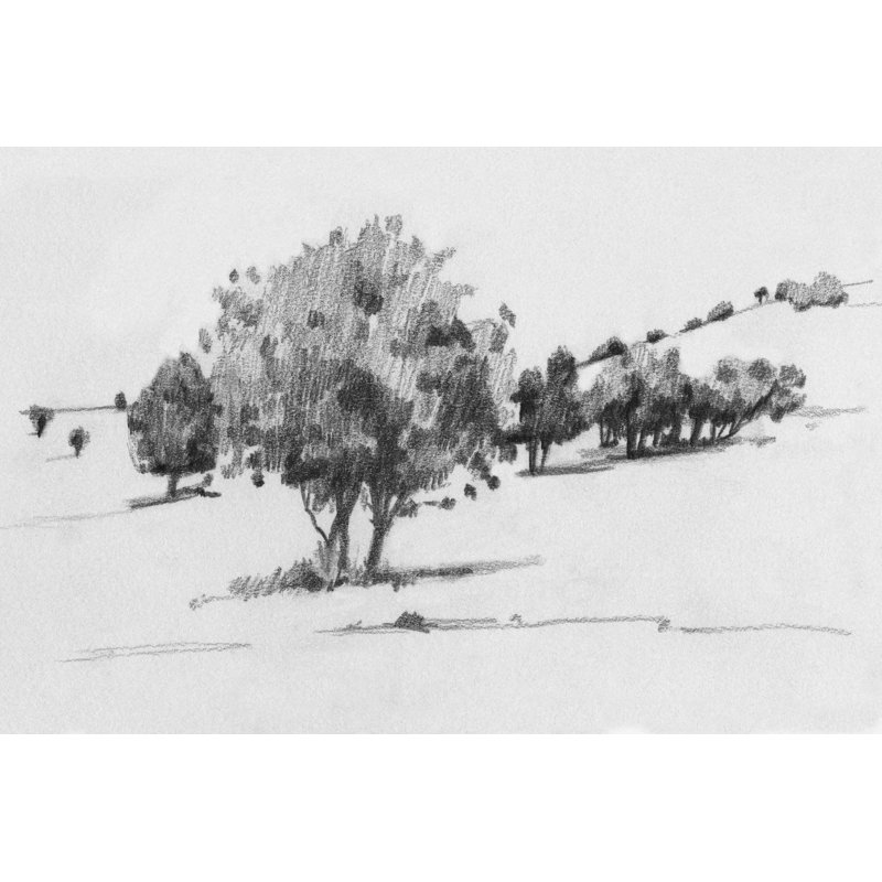 Treeline Sketch I by Emma Caroline - Print on Canvas, Black Floater Framed, 61 cm H x 91 cm W