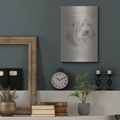 " Havanese " by Barbara Keith