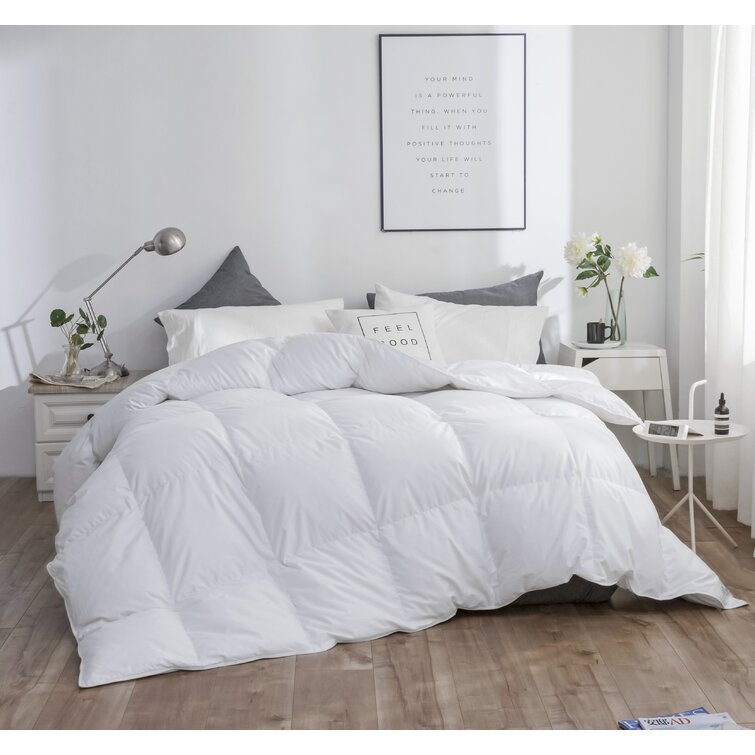 Royal Elite Oreiller de duvet d'oie blanc, très grand24