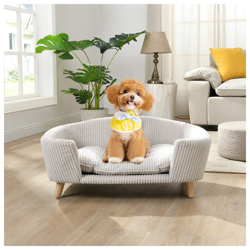 Structure de lit pour chien en velours côtelé surélevé pour petits chiens - Canapé moderne avec pieds en bois d'hévéa et coussin de soutien en mousse, beige