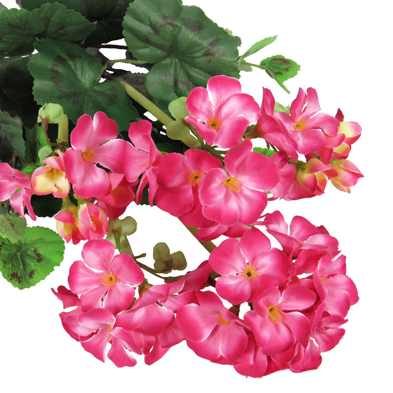 Fleur de géranium, Rose / vert
