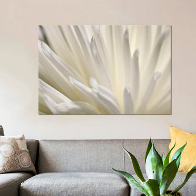 " White Flower " by PhotoINC Studio