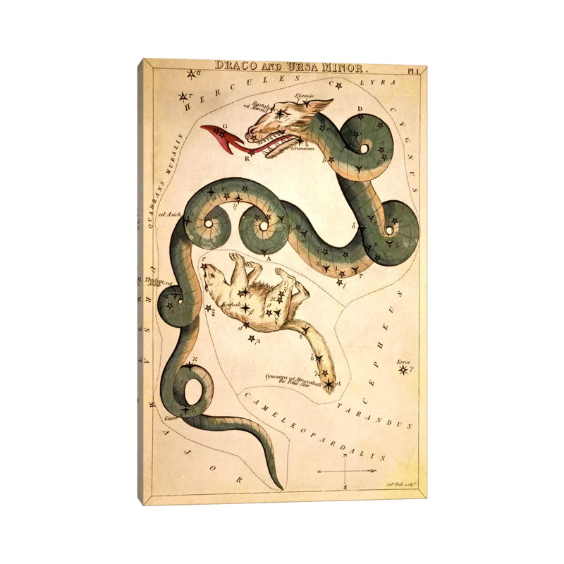 Draco And Ursa Minor by Sidney Hall - Wrapped Canvas Print, 20.32 cm H x 30.48 cm W