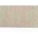 Saail Machine Woven Beige Area Rug