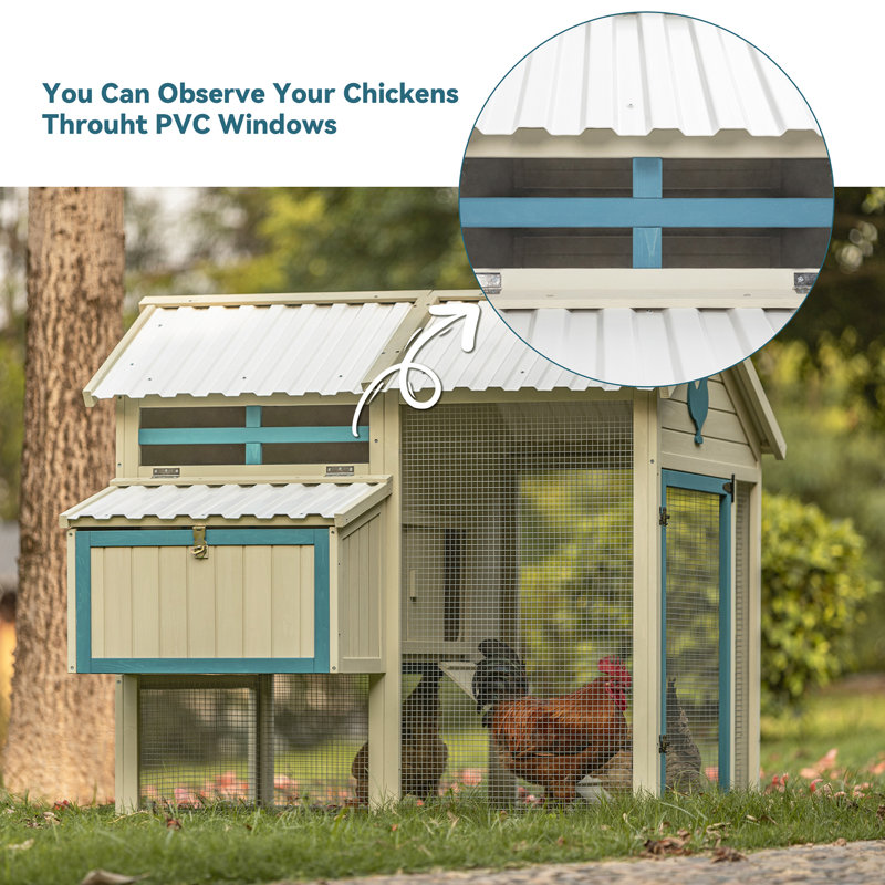 Cage à poulailler 65 po avec toit en PVC imperméable pour petits animaux