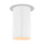 Archer Small Flush Mount-98615260