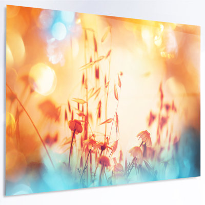 " Beautiful Little Summer Flowers View "