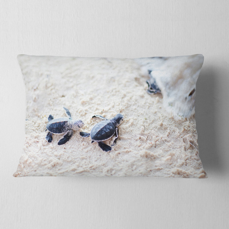 Coussin Baby Turtles on Sand - imprimé animal