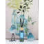 Diffuseur de bouteille Iris and Rose