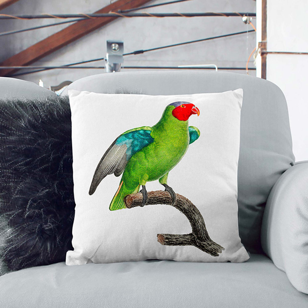 A Cheeked Parrot by F. Levaillant Cushion with Filling