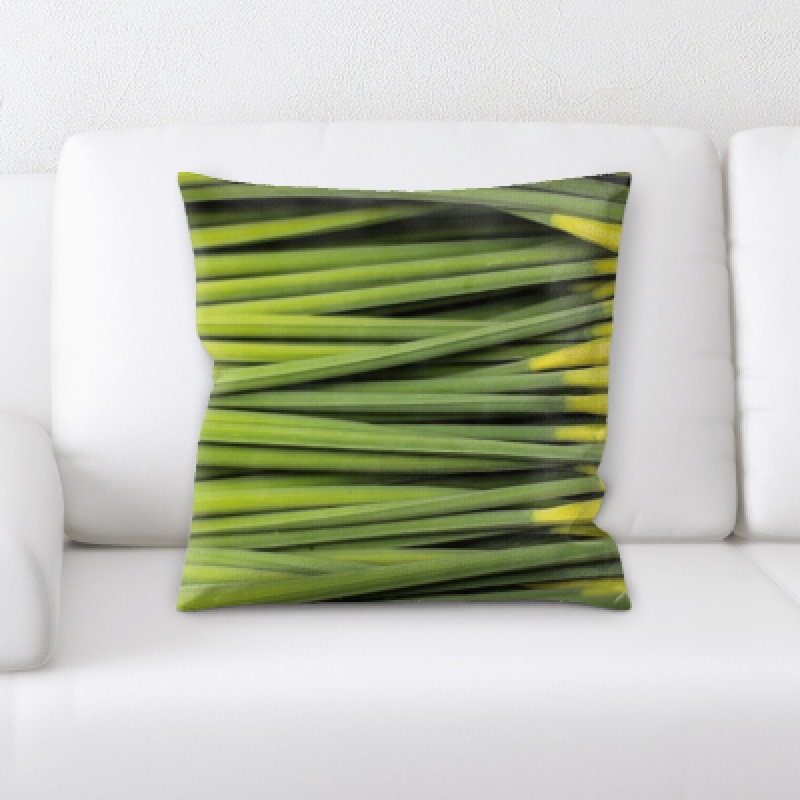 Coussin décoratif