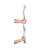 Multi-level Plastic Grab Bar, 25"
