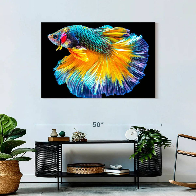 Brampt Multicolored Betta Fish, 30'' H x 45'' W