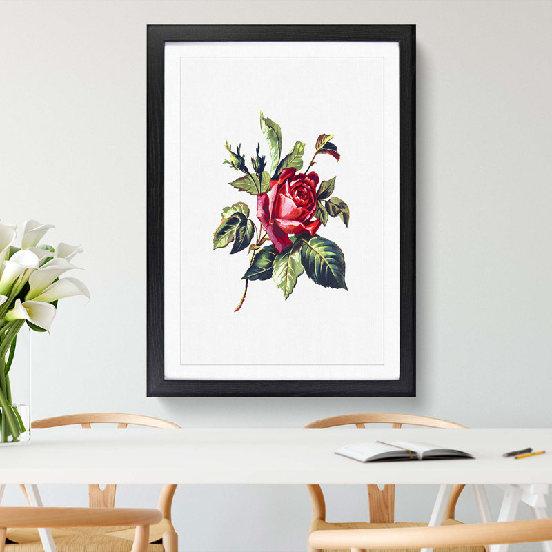 Red Rose Illustration - Picture Frame Painting Print, Black Framed, 36cm H x 27cm W x 2cm D
