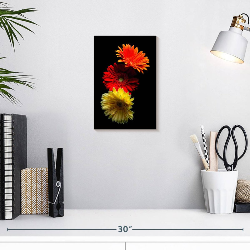 Trois marguerites lumineuses Harnek, H 12 po x l 8 po