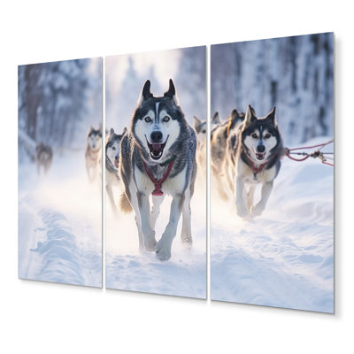 Ensemble de décoration murale Alaska Dog Sledding II - Animaux