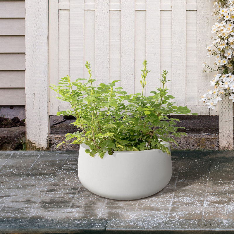 Pot à fleurs en béton Dovenby, H 10 po x l 20 po x P 20 po, Blanc pur