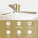 Katya 52'' Ceiling Fan with LED Lights