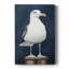 NAUTICAL Series Cxxxxi - galerie sur mesure-1648931876