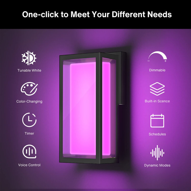 LED Wall Light