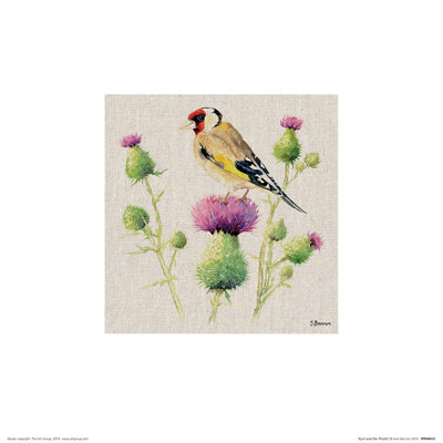 Cyril And The Thistle by Jane Bannon - No Frame Painting
