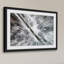 Karolis Janulis - Single Picture Frame Print-1112149877